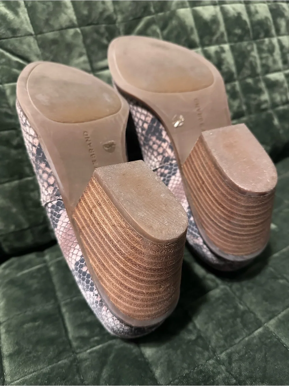 Lucky Brand Pointed Snake-Print Ankle Booties in Taupe and Black
